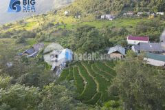 Cất lỗ mảnh đất trung tâm y tý sapa 2 đón sóng quy hoạch sân bay