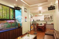 Cần bán gấp nhà mặt ngõ ôtô thông full nội thất 50m 10xtỷ hoàng hoa thám