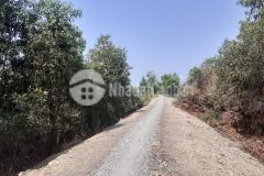 9,3công đất đường bắc kênh 500,tân hoà đông,tân phước,tiền giang