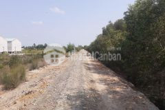 6.600m2 đất đường tây kênh 84,tân hoà đông,tân phước,tiền giang