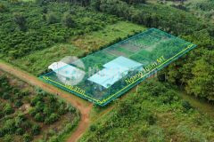 Đất diên phú hẻm trường sa view đẹp 3 mặt tiền