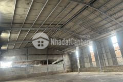 Cho thuê kho xưởng tiêu chuẩn mặt tiền đường container tại tp. dĩ an, tỉnh bình dương