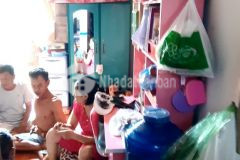 Nhà hẻm 5m đường 195 kế aeomail tân phú