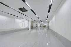 Cho thuê nhà mặt tiền 8m đường lý tự trọng gần c.viên lưu hữu phước ninh kiều, cần thơ