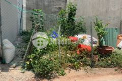 Bán lô đất hẻm 82 đường số 2 phường trường thọ, thủ đức