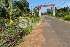 Cần bán 6 sào đất có thổ cư mặt tiền đường nhựa tại buôn đôn