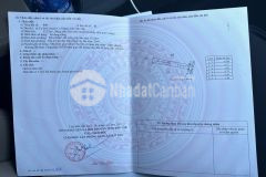 Đất thôn 2 cư suê giá chỉ 460tr đường bê tông thông bàn cờ, đất bằng phẳng bao đẹp, cách ch