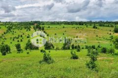 Lô xã hòa thắng cách dt716 chỉ 1000m đường 6m xe hơi chạy tận nơi 11.656m2 1.98 tỷ bao sang tên.