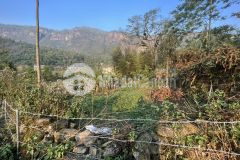 Đất nền sapa 2 vùng lõi khu bảo tồn, đón sóng quy hoạch sân bay