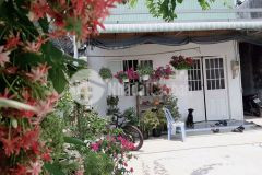 Trời ơi tin được không trời ơi tin được không dt 4x12 hẻm 5m