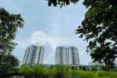 Bán biệt thự vườn đào lạc long quân tây hồ. dt 252m2 giá 110 tỷ hà nội