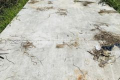 Giảm sập hầm,giảm sâu 100tr cho lô đất tại điện tiến 218m2