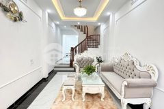 Biệt thự tam trinh tinh hoa người giàu 50m2 4,8tỷ