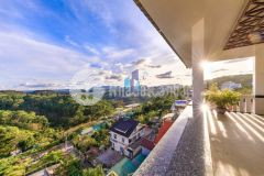 Khách sạn lê văn tám phường 10 đà lạt view đồi thông cực đẹp