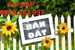 Bán đất phước hiệp, củ chi, 1250m2 50x25, đường xe hơi, giá chỉ 3.x tỷ