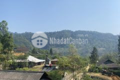 Cần bán mảnh đất full thổ cư siêu hiếm ở tả phìn