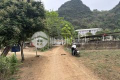 Bán 755m gần đường hcm giá chỉ 330tr