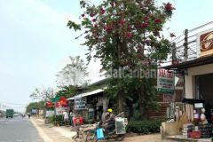 Bán đất 228m2 mặt tiền đường 6m ngay an tịnh trảng bàng giá 650tr