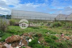 Bán lô đất kim đồng. p6. dalat, giá siêu rẻ