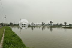 Chuyển nhượng 2600m đất mô hình sinh thái vườn ao chuồng tại hà nội, giá 7xxtr