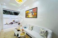 Lô góc mặt ngõ hoàng mai vừa ở vừa kinh doanh