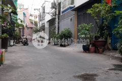 Hoàng hoa thám bình thạnh 56m2 5 tầng hẻm xe hơi thông