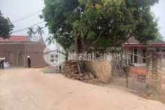 Chỉ hơn 300tr đã có lô đất quang thịnh lạng giang bắc giang với dt 101 m2