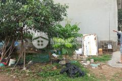 Văn trì bán đất 51m2 50m ra ô tô mặt tiền rộng 2,25 tỷ