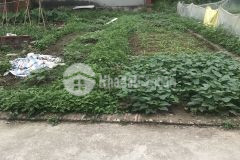 Bán đất nam hồng, đông anh, ô tô 7 chỗ vào đất, vài mét ra đường ô tô tránh, 76m, hơn 2 tỷ