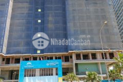 Căn hộ vũng tàu pearl cao cấp