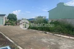 Lô góc đấu giá cát lư, chỉ đạo. 101m, giá cực đẹp, ưu đãi lớn lh 0835459289