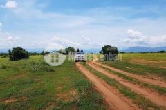 Bán 3841m2 đất vườn xã phan rí thành, liền kề cung đường đôi bàu trắng, cách biển 1km, lh 0937251240