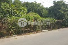 Bán đất mặt tiền đường an sơn 01 nhựa 7m liên thông, thành phố thuận an, bình dương