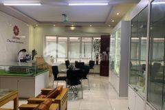 Bán nhà 8 tầng thang máy gara, phân lô ô tô thông, kinh doanh, phố trung kính cầu giấy.