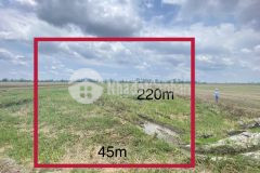 Bán 9798,2m2 đất tại định thành, shr, giá chỉ 120trcông. lh0964709660, 0837801160