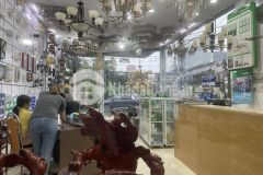 Bán nhà 75m2 mặt tiền trần hưng đạo quang trung, lê văn việt, quận 9 ngã 4 thủ đức chỉ 12 tỉ 5 tầng