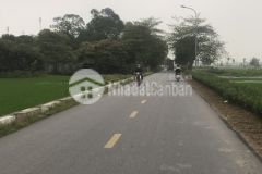 Bán các lô đất phân lô xuân nộn, đông anh, ô tô vào đất, hơn 10m ra đường ô tô tránh