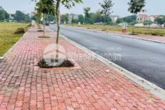 Tiềm năng đầu tư lớn đất 90m2 đấu giá minh hải văn lâm, vị trí đắc địa, giá tốt lh 0835459289