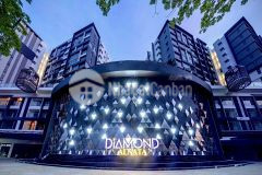 Cho thuê căn hộ mới diamond alnata celadon city