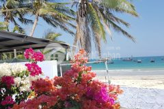 Chủ nhà vỡ nợ bán gấp mảnh đất ven biển 271m cách dốc lết 5 phút đi bộ giá rẻ nhất khu vực