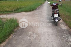 Điện tiến lô 300m2 gần dự án mở cầu quảng đà giá chỉ 2xx