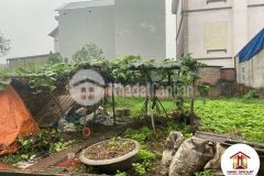 Chính chủ gửi bán 59m2 khê nữ nguyên khê đông anh kinh doanh nhỉnh 2 tỷ, lh 0888481126.