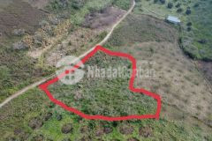 Cần bán mảnh đất nền mộc châu vị trí đẹp cắt lỗ sâu