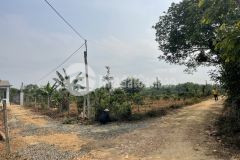 Bán đất giá đầu tư thôn quỳnh ngọc xã eana huyện krong ana 235 triệu