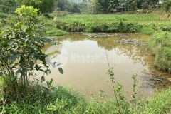 Bán 1103m đất lương sơn, giá chỉ 999tr