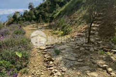 Mảnh đất 3 nhất mới nhất, rẻ nhất, đẹp nhất thị trường trong thời điểm này, sapa, lào cai