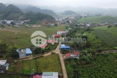 Cắt lỗ mảnh đất mộc châu, đón sóng cao tốc hà nội mộc châu