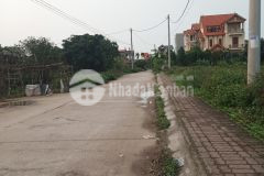 Chính chủ cần bán gấp lo đat đấu giá nghĩa lộ, cực đẹp, 21trm lh 0835459289