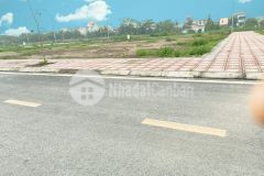 Chỉ 1x triệum2 đất du lịch đồ sơn, hải phòng. lô góc 2 mặt tiền