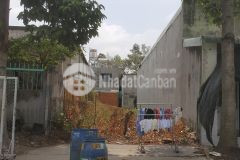 Đất mặt tiền đường d8 nhựa 10m liên thông, phường hoà phú, thành phố thủ dầu một, bình dương